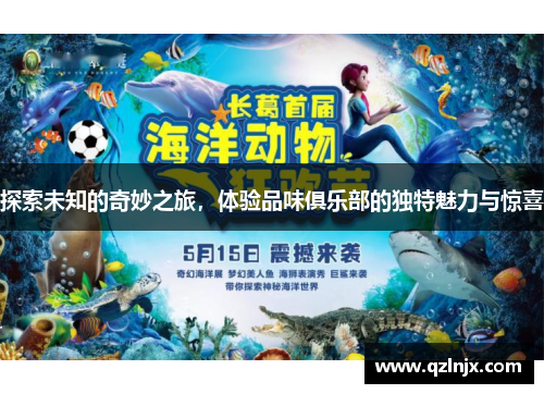探索未知的奇妙之旅，体验品味俱乐部的独特魅力与惊喜