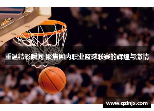 重温精彩瞬间 聚焦国内职业篮球联赛的辉煌与激情