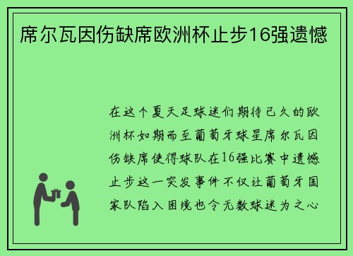 席尔瓦因伤缺席欧洲杯止步16强遗憾